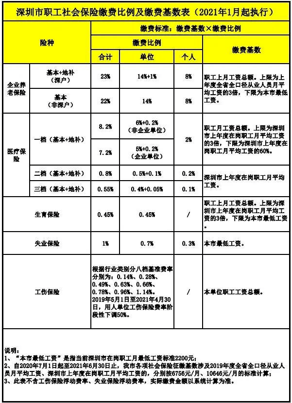 广东省一次性补缴社保政策解读与影响分析