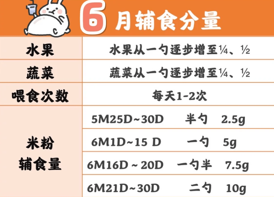 八个月宝宝进食时间表，营养与成长的平衡艺术