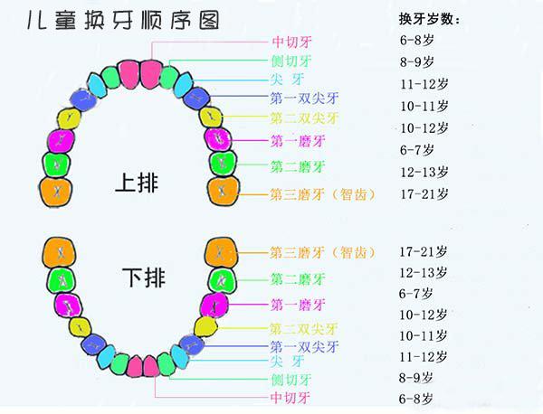 宝宝几个月长牙，牙齿生长规律与注意事项