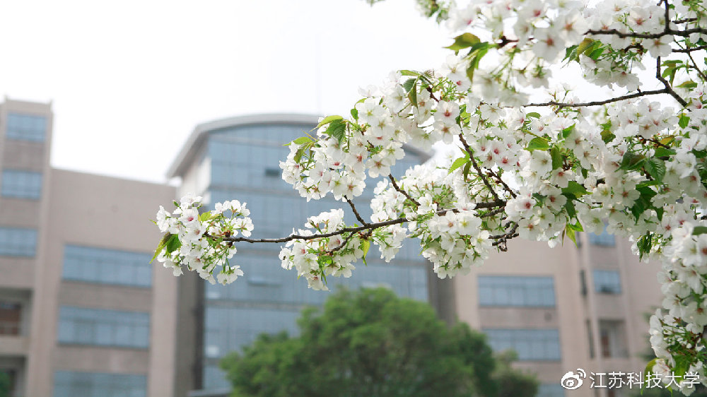 江苏科技大学复试科目详解